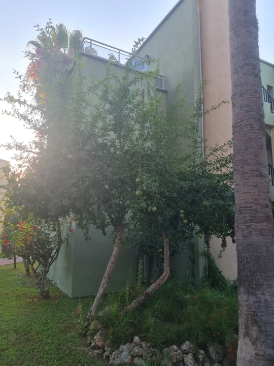 Gartenanlage VONRESORT Golden Beach