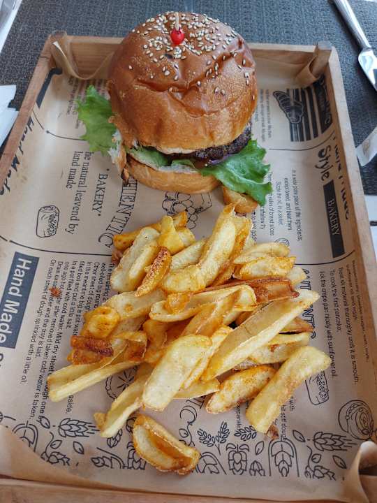 Gastro Seashell Vega