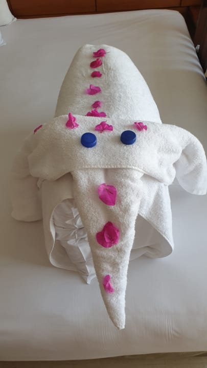 Zimmer Stella Garden Resort & Spa, Makadi Bay