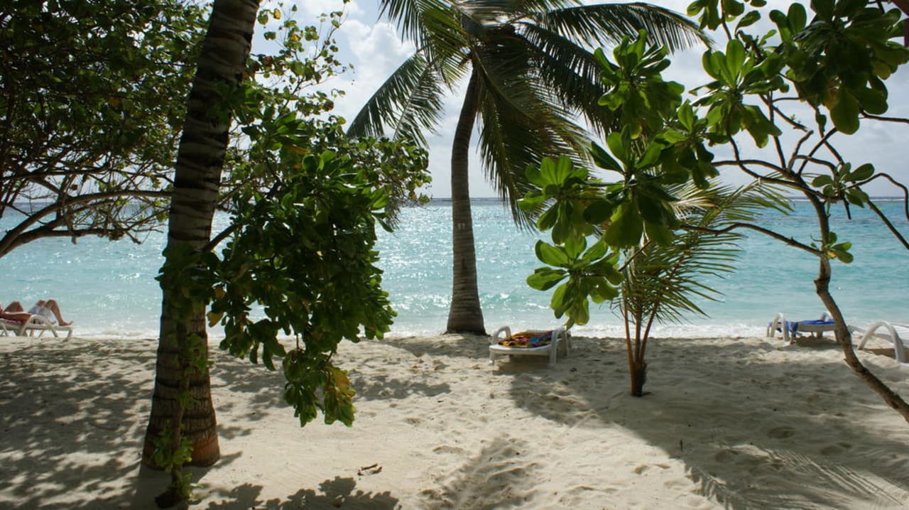 Bungi 59 Summer Island Maldives