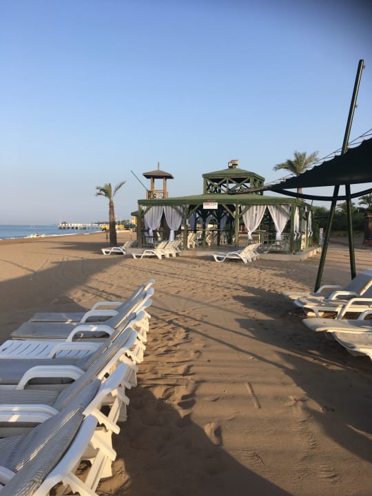 Strand AQI Pegasos World