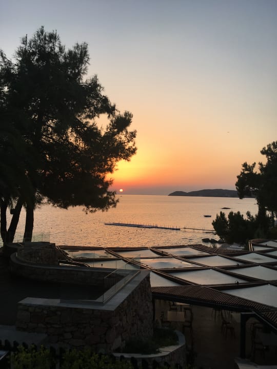 Ausblick Alexandra Beach Resort & Spa