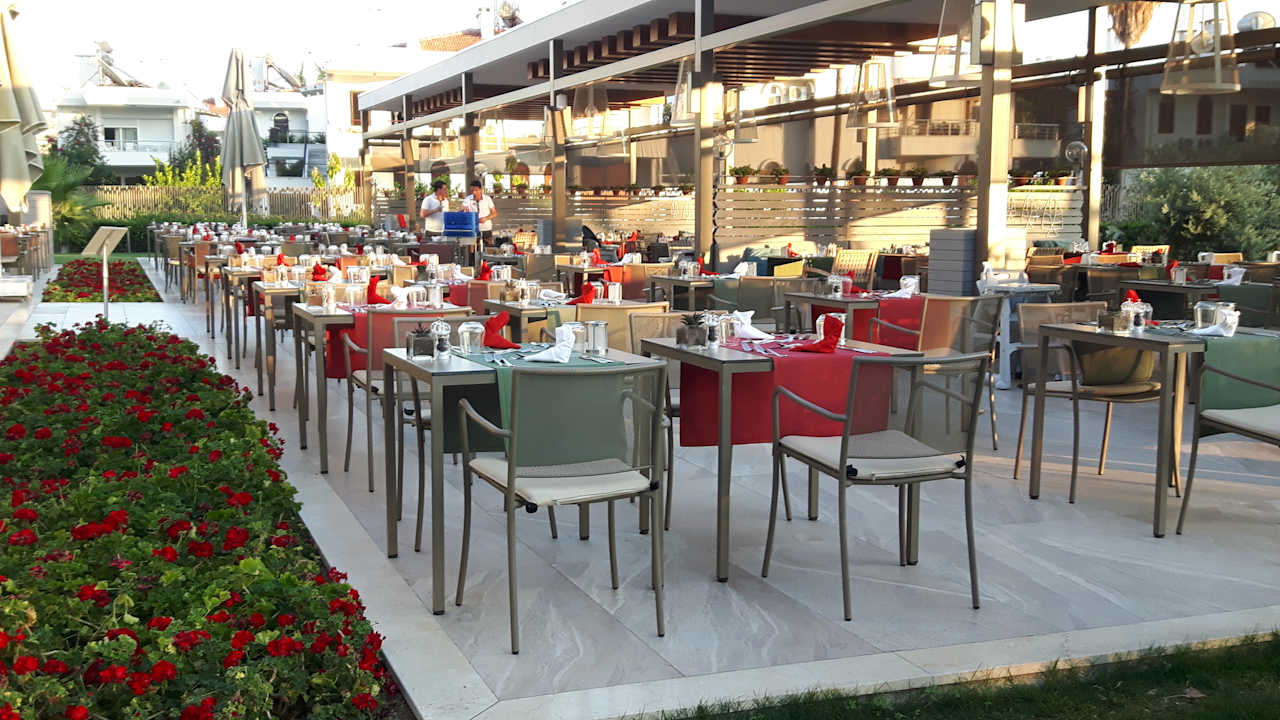 Gastro Acanthus Cennet Barut Collection