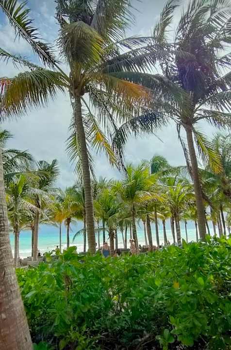 Strand Catalonia Playa Maroma