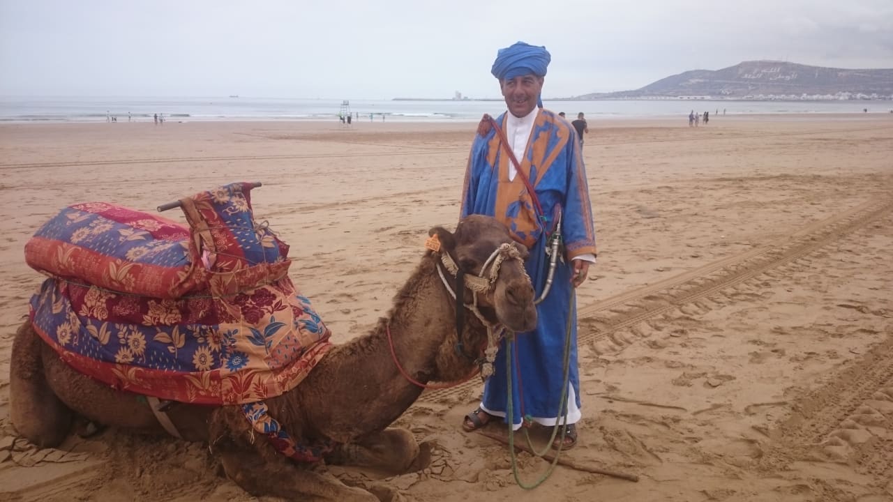 Ein sehr sympathischer Berber Iberostar Waves Founty Beach