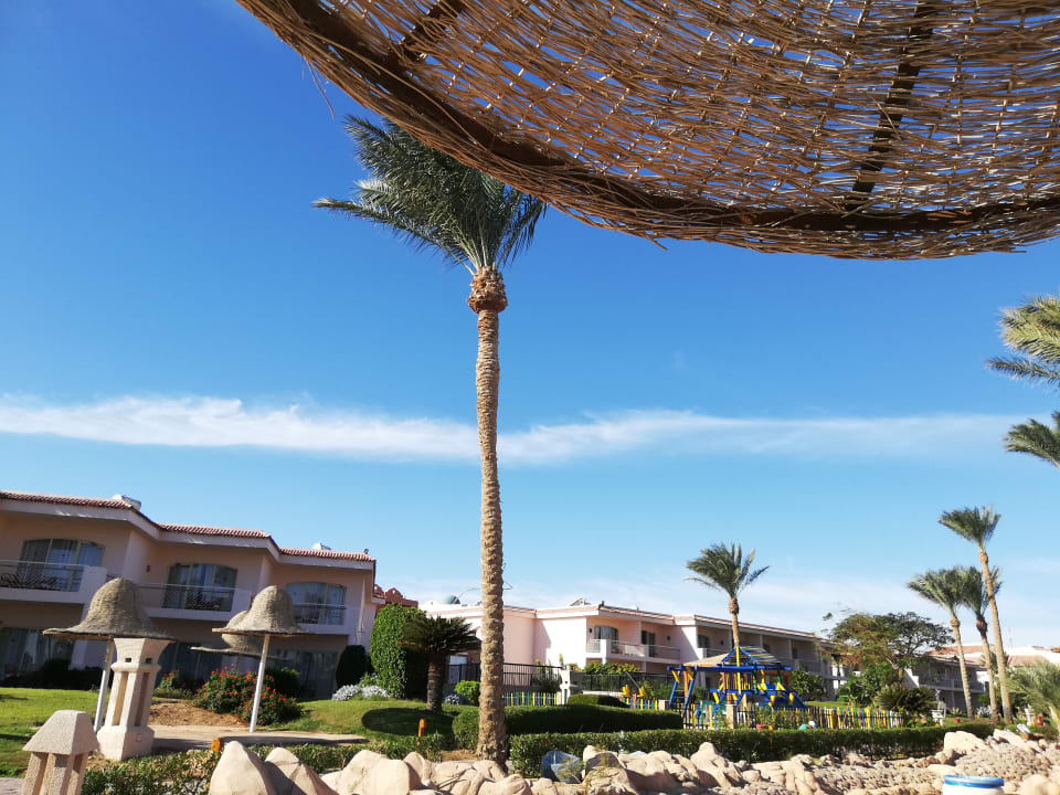 Ausblick Parrotel Beach Resort