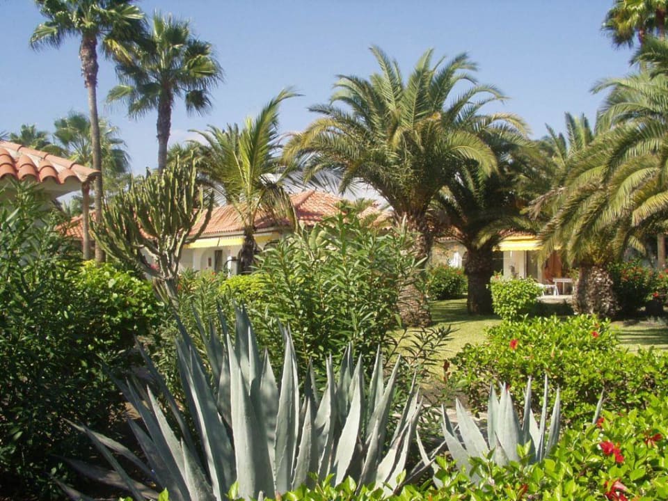 Außenanlage Sun Club Playa del Ingles