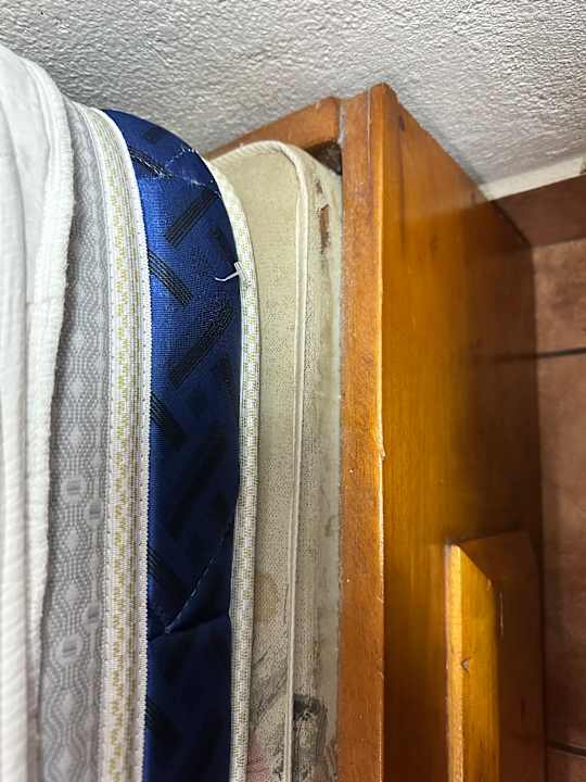 Zimmer Hotel Montana Monteverde