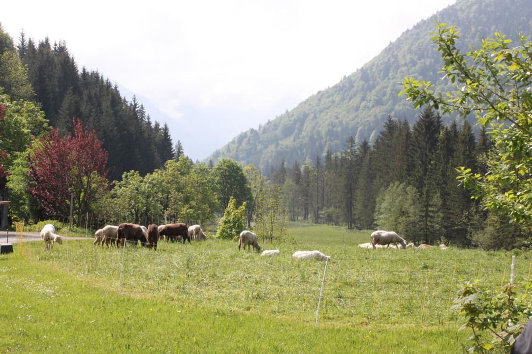 Ausblick Landhotel Oberstdorf Gruben
