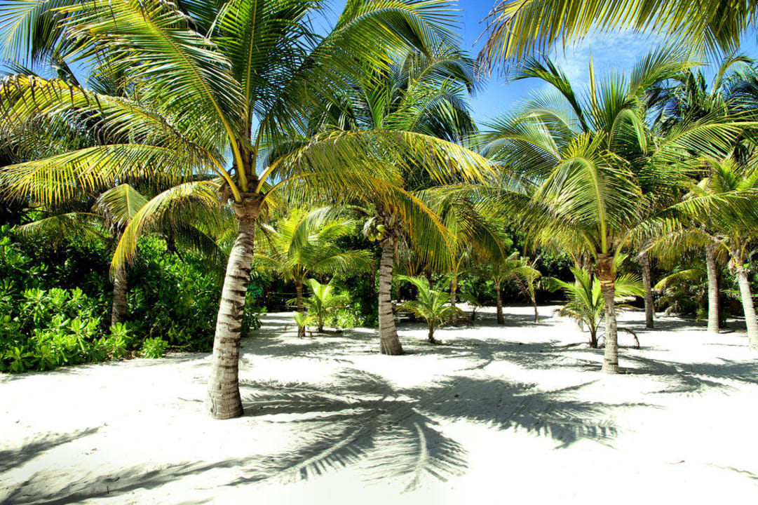 Пляж Grand Palladium Select White Sand Resort & Spa