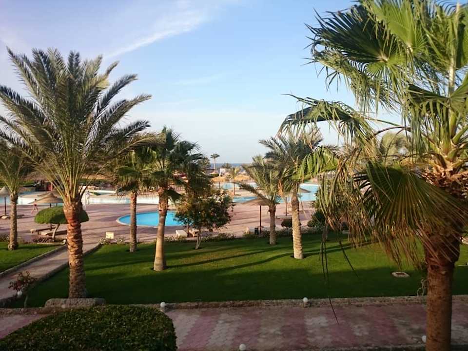 Widok z pokoju Three Corners Sea Beach Resort