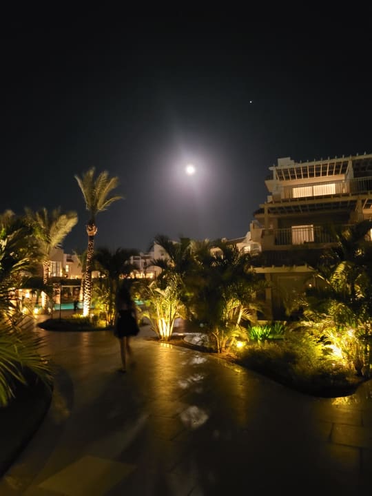 Gartenanlage JAZ Elite Casa del Mar Beach