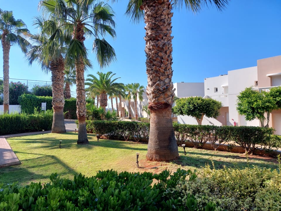 Gartenanlage Grand Hotel Holiday Resort