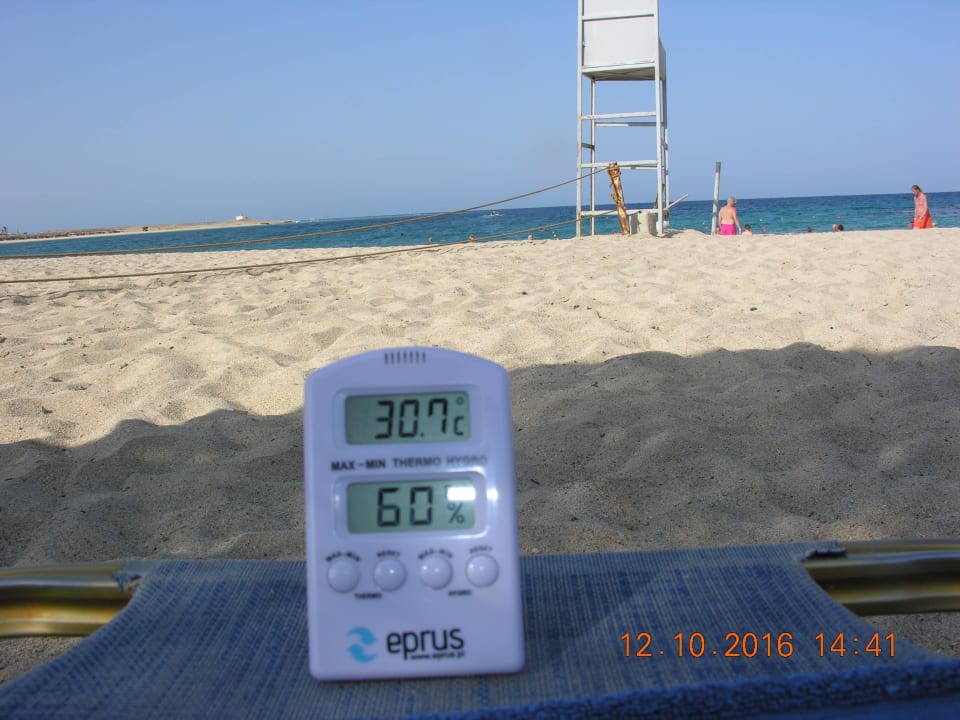 Temperatura na plaży w cieniu Malikia Resort Abu Dabbab