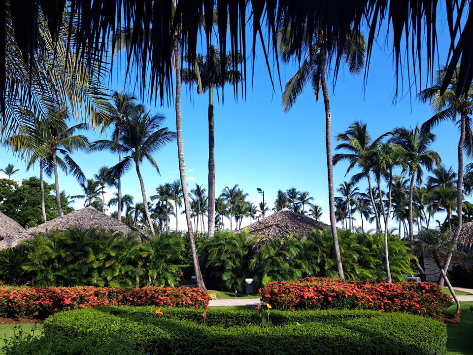 Außenansicht Hotel Viva Dominicus Beach by Wyndham - All Inclusive Resort