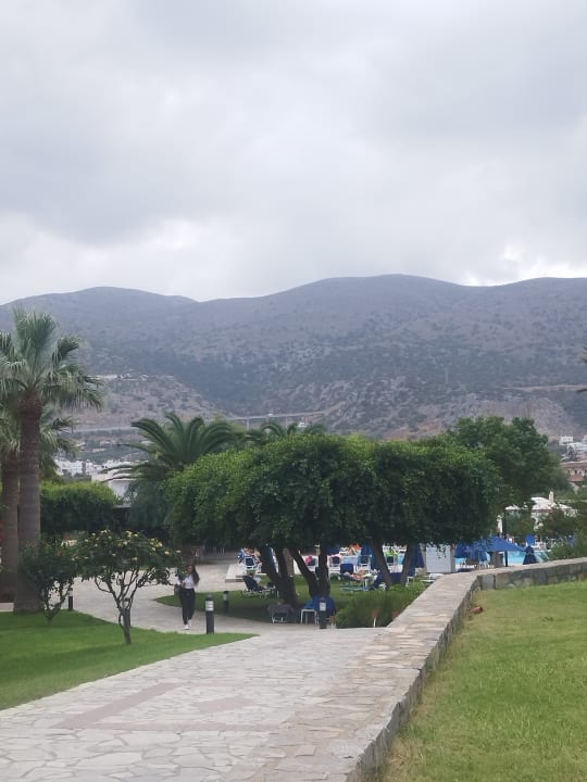 Gartenanlage allsun Hotel Malia Beach