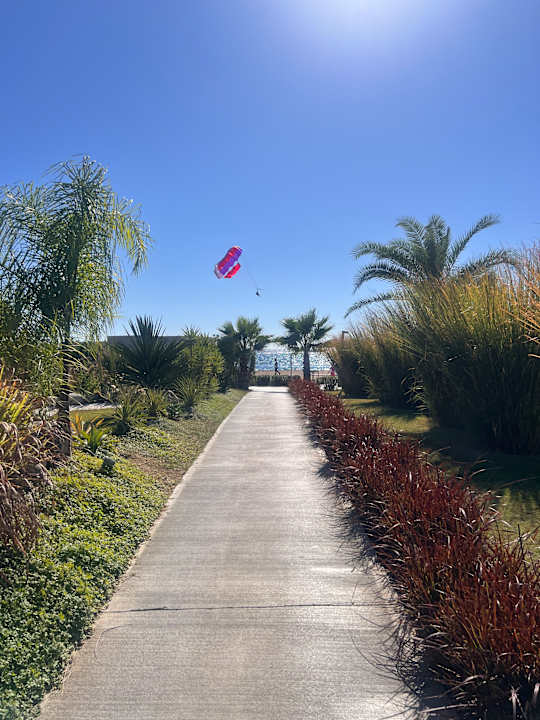 Gartenanlage Paloma Finesse