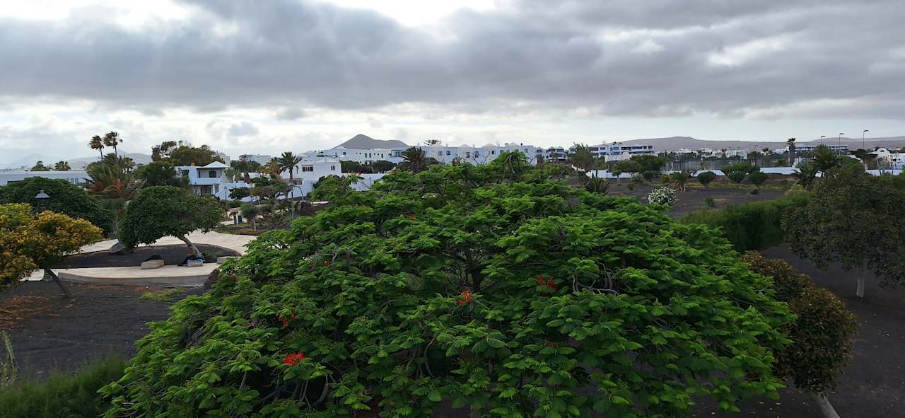 Ausblick allsun App.-Hotel Albatros