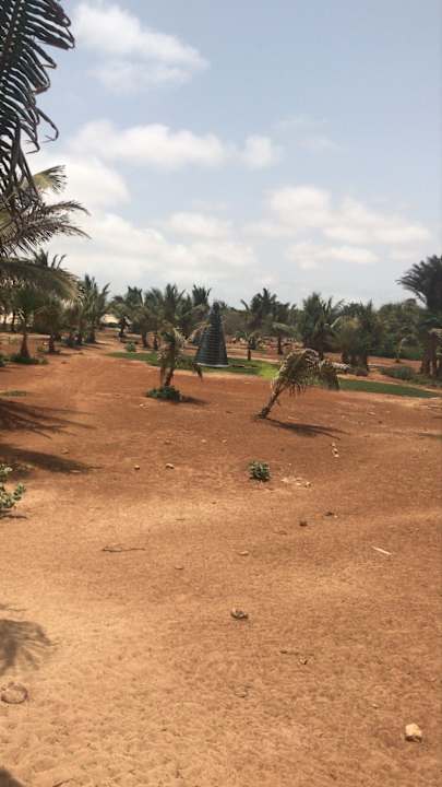 Gartenanlage VOI Praia De Chaves Resort