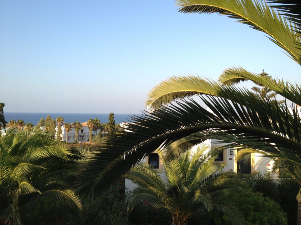 Zimmerausblick Richtung Osten TUI SUNEO Chrissi Amoudia