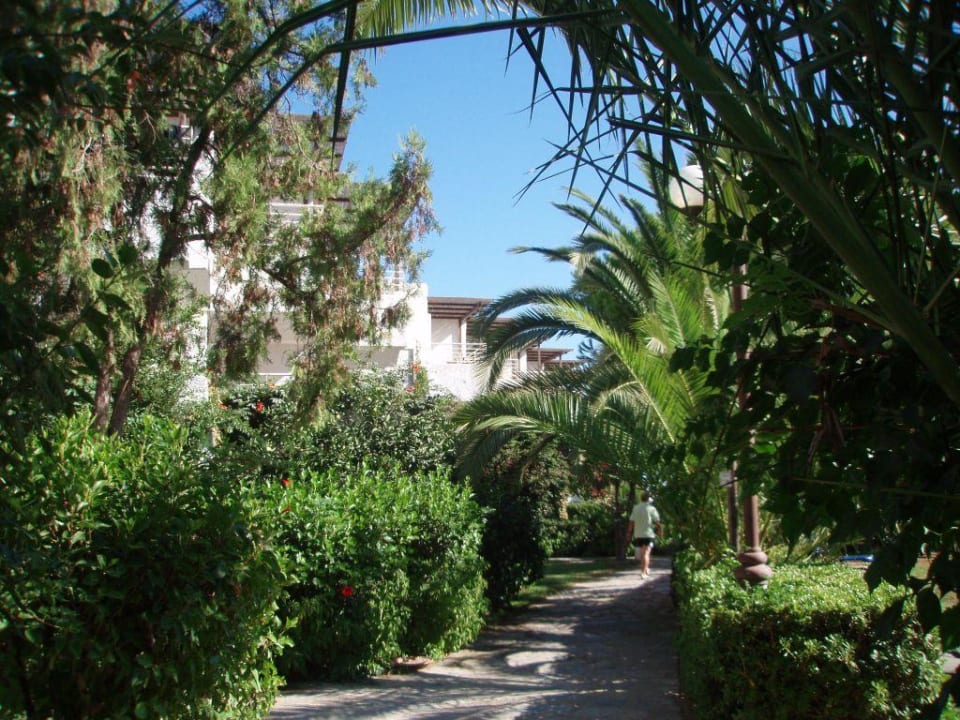 To the beach Apollonia Beach Resort & Spa