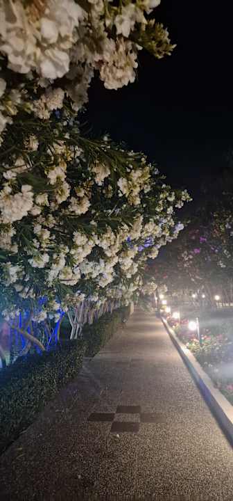 Außenansicht VONRESORT Golden Coast