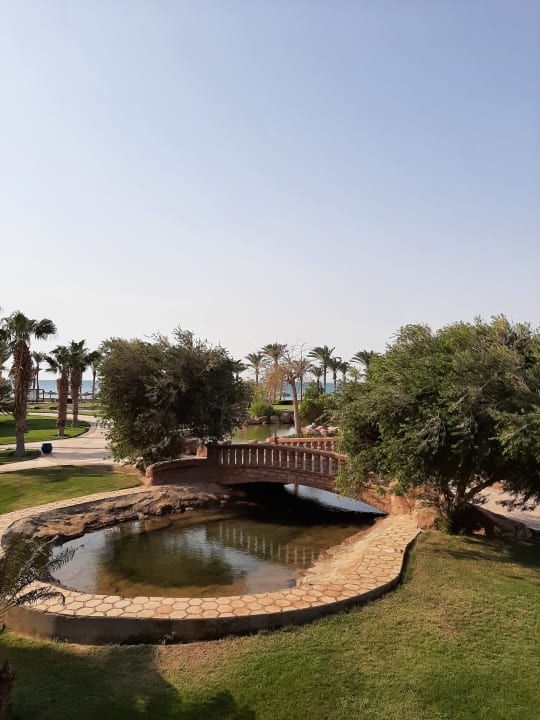 Ausblick Palm Royale Resort - Soma Bay