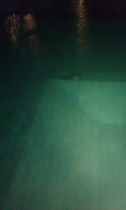 Fehlende Fliesen (Verletzungsgefahr) Shams Safaga Resort