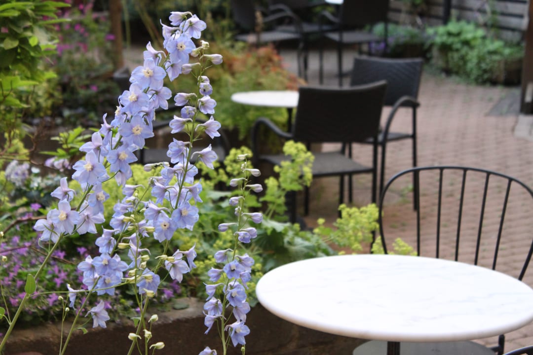 Sonstiges Hotel Lorensberg