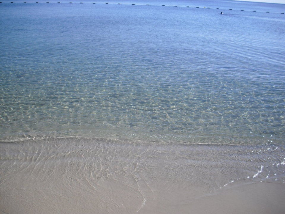 Glasklares Wasser! Hotel El Mouradi Palm Marina