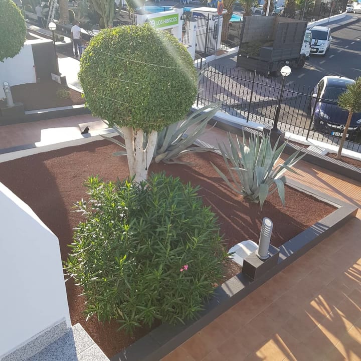 Gartenanlage Ereza Apartamentos Los Hibiscos- Adults Only