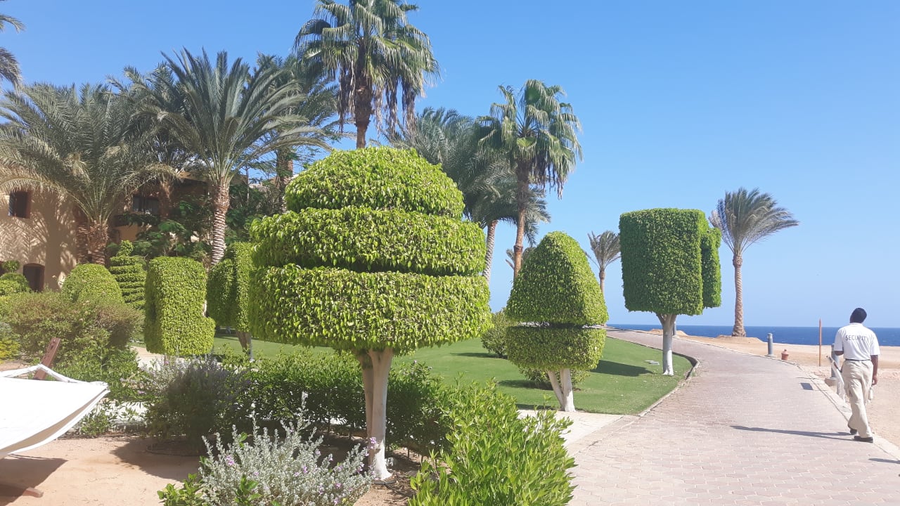 Gartenanlage Steigenberger Coraya Beach - Adults only