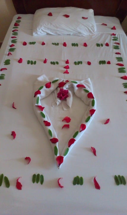 Украшение к Дню Рождения Stella Beach Resort & Spa Makadi Bay