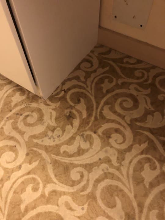 Zimmer Royal Arena Resort & Spa