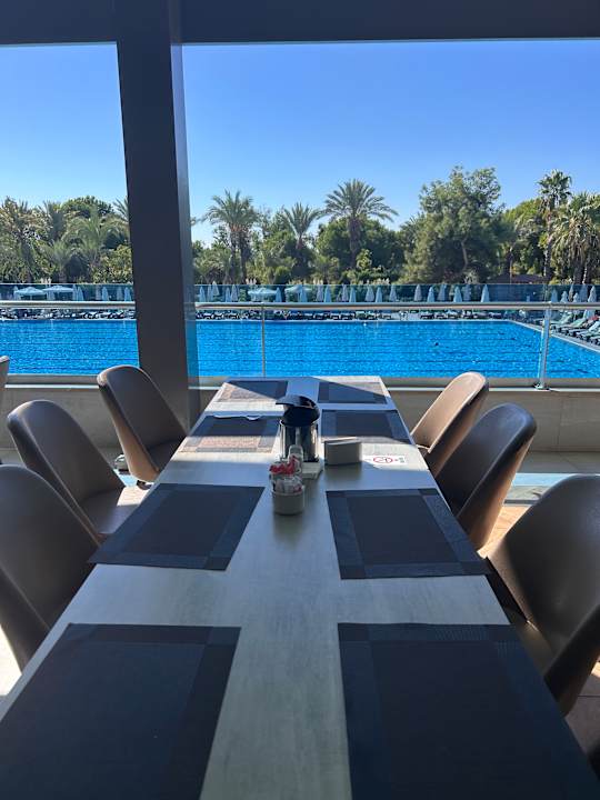 Pool Delphin BE Grand