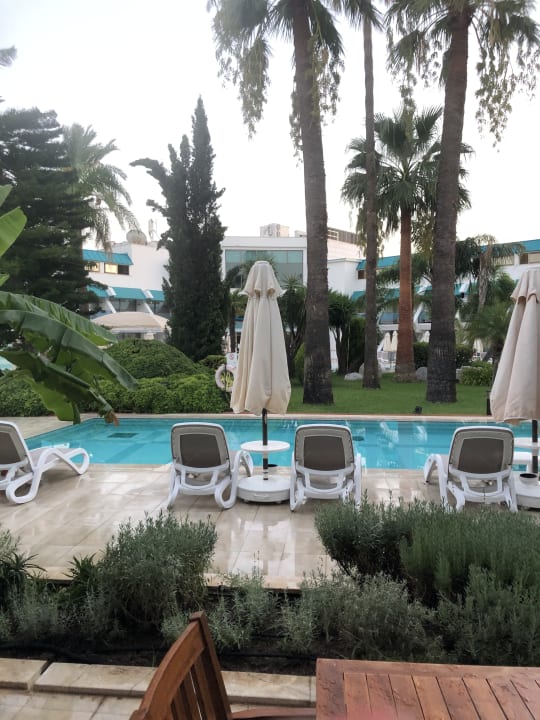 Pool Side Star Elegance