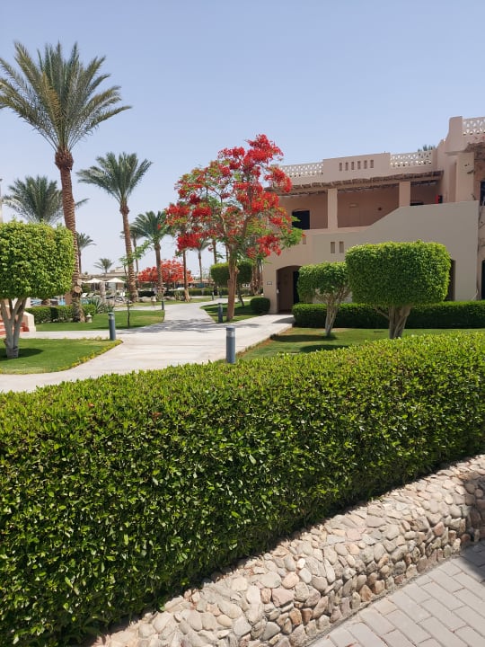 Gartenanlage Hotel JAZ Makadi Star & Spa