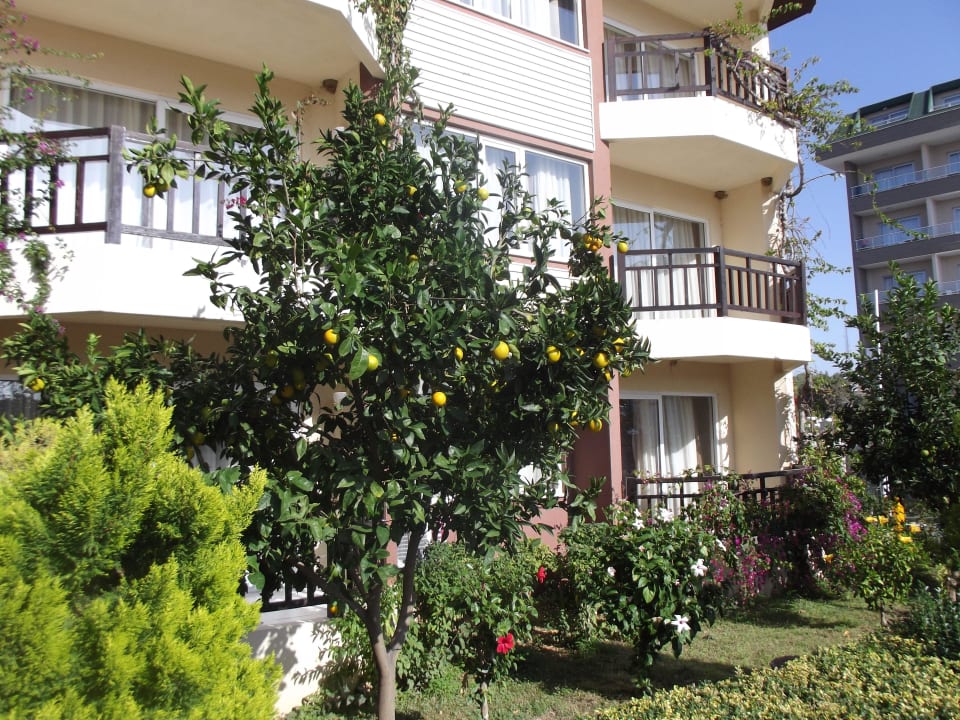 Rechts an der Rezeption Justiniano Club Alanya