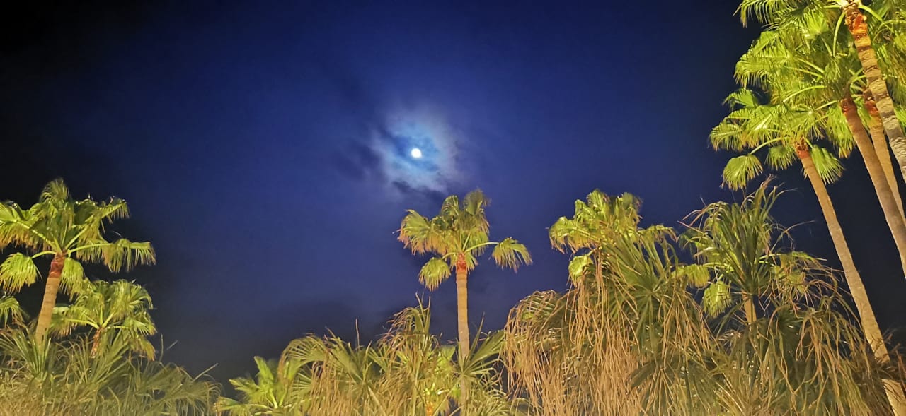 Ausblick Calimera Sirens Beach