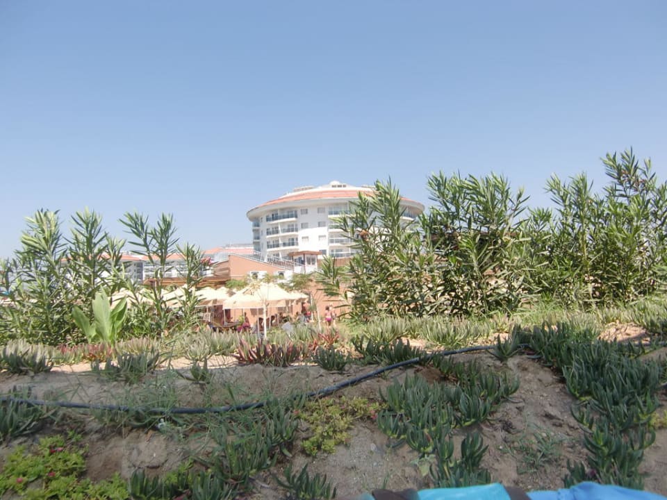 Vom Strand zum Hotel schauend Seaden Sea World Resort & Spa