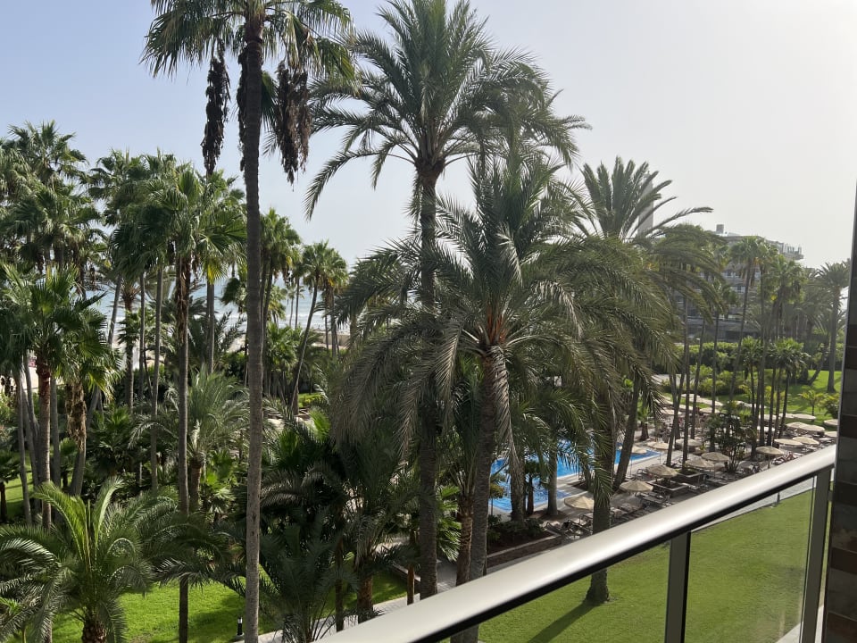 Ausblick Hotel Riu Palace Oasis