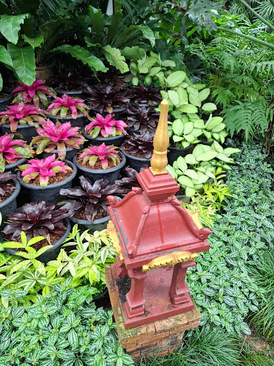 Gartenanlage Laluna Hotel & Resort