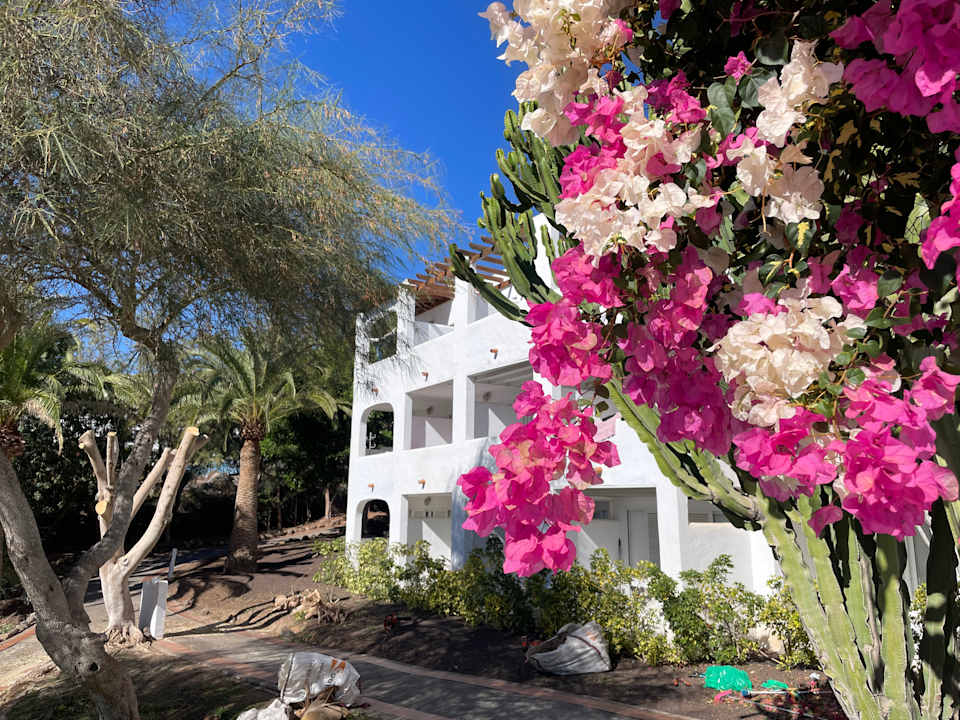 Zimmer ROBINSON ESQUINZO PLAYA