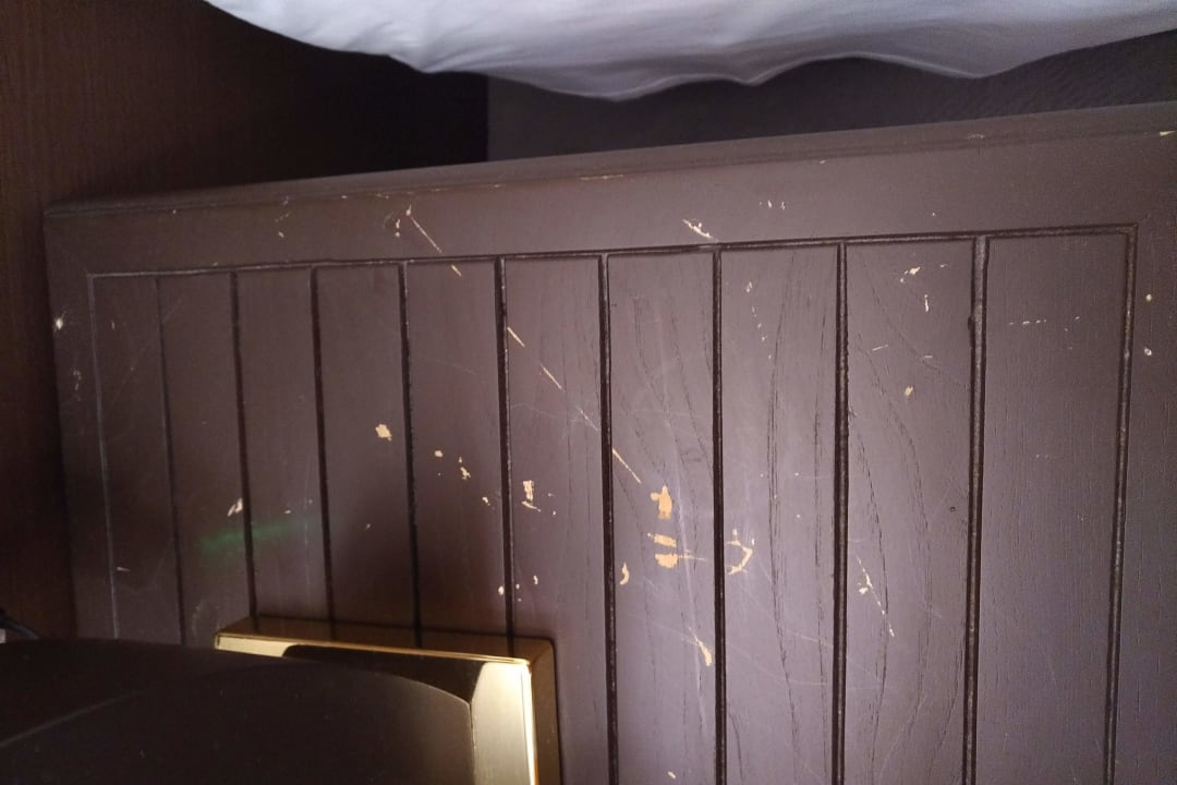 Zimmer Papillon Belvil