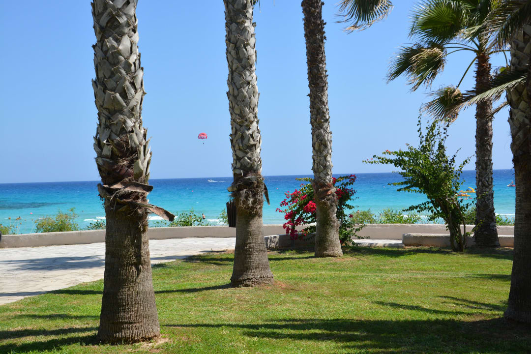 Sehr schöne Anlage Hotel Nissi Beach Resort