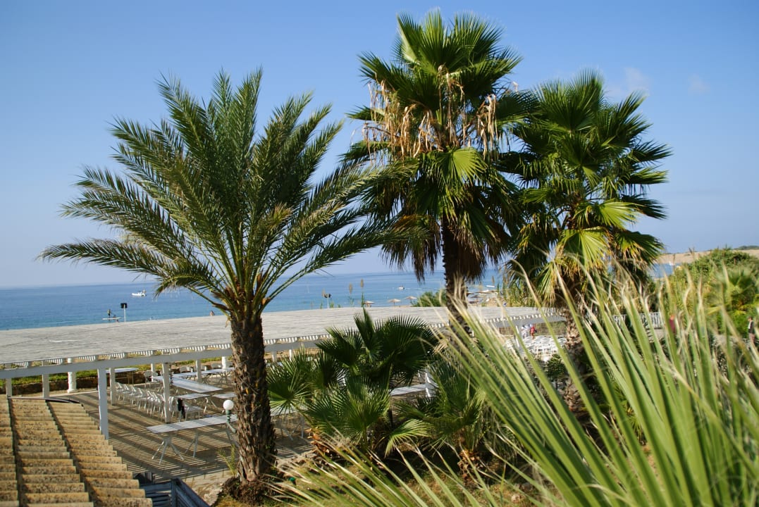 Gartenanlage Sandy Beach Resort