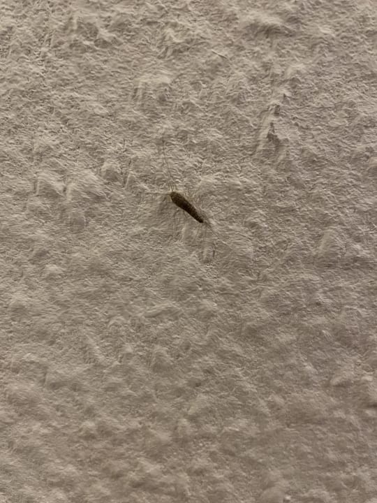 Zimmer Golfpark Gut Düneburg