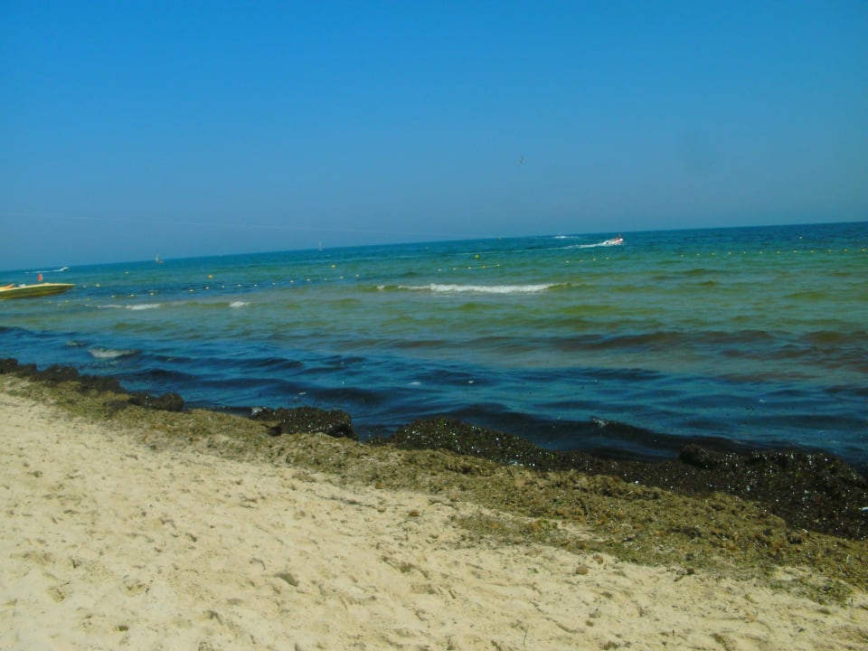 Strand Monarque Club Rivage