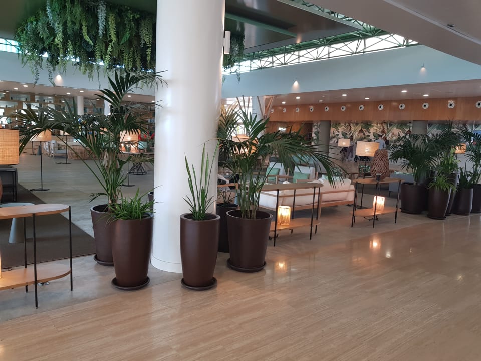 Lobby Barceló Fuerteventura Mar
