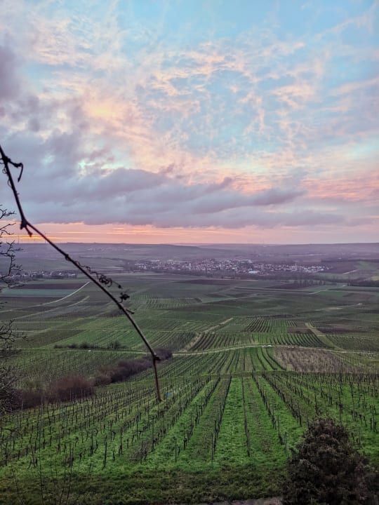Ausblick Hofgut Wißberg - Das Weinberghotel